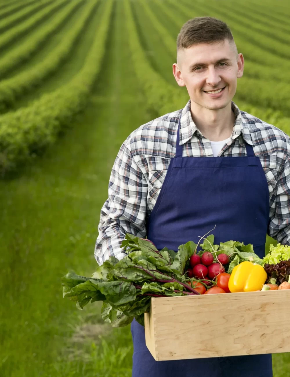 man-holding-basket-with-vegetables-scaled-1.webp